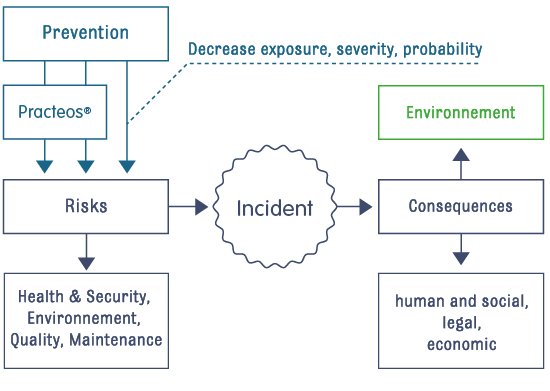 Diagram — dynamic risk management: detection, rating, processing.