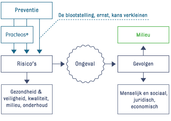 Schema — dynamisch risicobeheer: detectie, beoordeling, verwerking.
